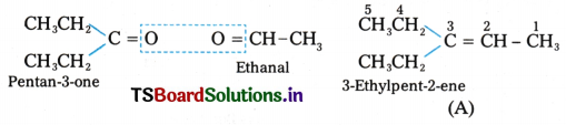 Hydrocarbons Questions and Answers AP Inter 1st Year Chemistry Chapter 9 82