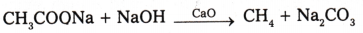 Hydrocarbons Questions and Answers AP Inter 1st Year Chemistry Chapter 9 9