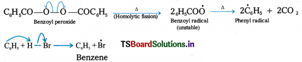 Hydrocarbons Questions and Answers AP Inter 1st Year Chemistry Chapter 9 95