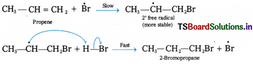 Hydrocarbons Questions and Answers AP Inter 1st Year Chemistry Chapter 9 96