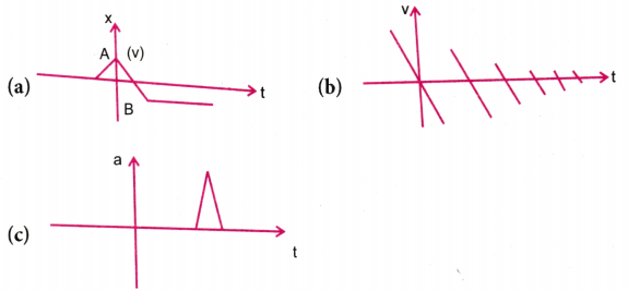 Motion in a Straight Line Questions and Answers AP Inter 1st Year Physics Chapter 2-14