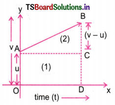 Motion in a Straight Line Questions and Answers AP Inter 1st Year Physics Chapter 2-4