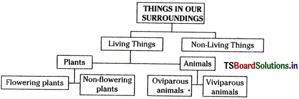 Non-Verbal Information Inter 1st Year English Grammar 3