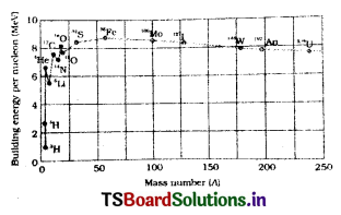 Nuclei Questions and Answers AP Inter 2nd Year Physics Chapter 13 4