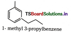 Organic Chemistry - Some Basic Principles and Techniques Questions and Answers AP Inter 1st Year Chemistry Chapter 8 13