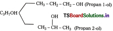 Organic Chemistry - Some Basic Principles and Techniques Questions and Answers AP Inter 1st Year Chemistry Chapter 8 16
