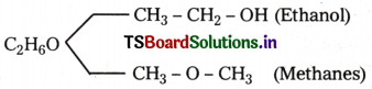 Organic Chemistry - Some Basic Principles and Techniques Questions and Answers AP Inter 1st Year Chemistry Chapter 8 17