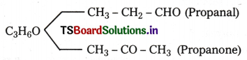 Organic Chemistry - Some Basic Principles and Techniques Questions and Answers AP Inter 1st Year Chemistry Chapter 8 18