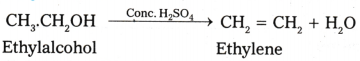 Organic Chemistry - Some Basic Principles and Techniques Questions and Answers AP Inter 1st Year Chemistry Chapter 8 24