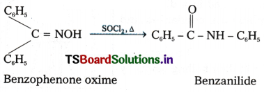 Organic Chemistry - Some Basic Principles and Techniques Questions and Answers AP Inter 1st Year Chemistry Chapter 8 27