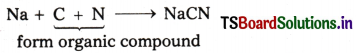 Organic Chemistry - Some Basic Principles and Techniques Questions and Answers AP Inter 1st Year Chemistry Chapter 8 28