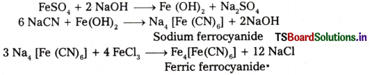 Organic Chemistry - Some Basic Principles and Techniques Questions and Answers AP Inter 1st Year Chemistry Chapter 8 29