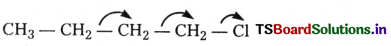 Organic Chemistry - Some Basic Principles and Techniques Questions and Answers AP Inter 1st Year Chemistry Chapter 8 31