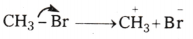 Organic Chemistry - Some Basic Principles and Techniques Questions and Answers AP Inter 1st Year Chemistry Chapter 8 32