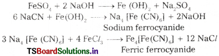 Organic Chemistry - Some Basic Principles and Techniques Questions and Answers AP Inter 1st Year Chemistry Chapter 8 35