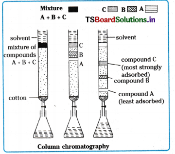 Organic Chemistry - Some Basic Principles and Techniques Questions and Answers AP Inter 1st Year Chemistry Chapter 8 41