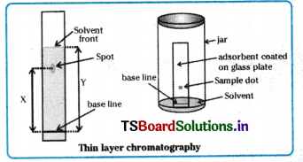 Organic Chemistry - Some Basic Principles and Techniques Questions and Answers AP Inter 1st Year Chemistry Chapter 8 42