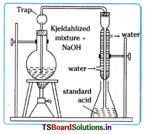 Organic Chemistry - Some Basic Principles and Techniques Questions and Answers AP Inter 1st Year Chemistry Chapter 8 45