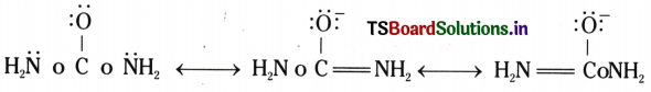 Organic Chemistry - Some Basic Principles and Techniques Questions and Answers AP Inter 1st Year Chemistry Chapter 8 48