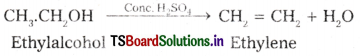Organic Chemistry - Some Basic Principles and Techniques Questions and Answers AP Inter 1st Year Chemistry Chapter 8 52
