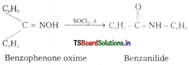 Organic Chemistry - Some Basic Principles and Techniques Questions and Answers AP Inter 1st Year Chemistry Chapter 8 55