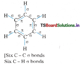 Organic Chemistry - Some Basic Principles and Techniques Questions and Answers AP Inter 1st Year Chemistry Chapter 8 57