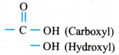 Organic Chemistry - Some Basic Principles and Techniques Questions and Answers AP Inter 1st Year Chemistry Chapter 8 70