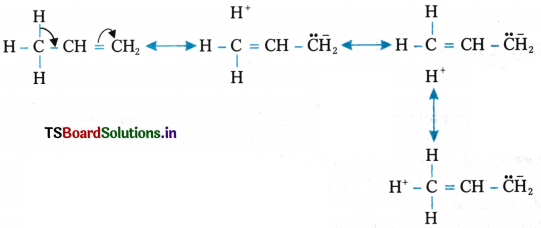 Organic Chemistry - Some Basic Principles and Techniques Questions and Answers AP Inter 1st Year Chemistry Chapter 8 76