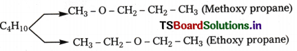 Organic Chemistry - Some Basic Principles and Techniques Questions and Answers AP Inter 1st Year Chemistry Chapter 8 8