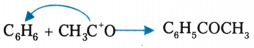Organic Chemistry - Some Basic Principles and Techniques Questions and Answers AP Inter 1st Year Chemistry Chapter 8 80