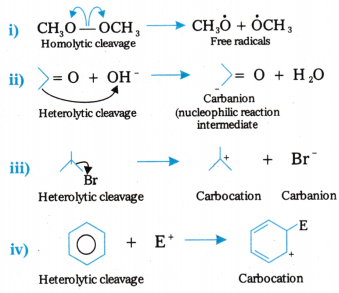 Organic Chemistry - Some Basic Principles and Techniques Questions and Answers AP Inter 1st Year Chemistry Chapter 8 82