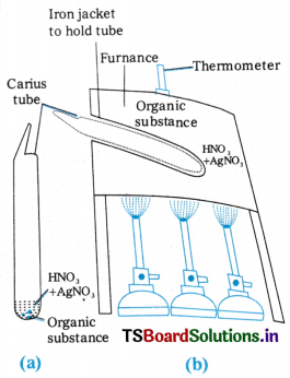 Organic Chemistry - Some Basic Principles and Techniques Questions and Answers AP Inter 1st Year Chemistry Chapter 8 90