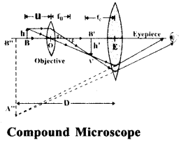 Ray Optics and Optical Instruments Questions and Answers AP Inter 2nd Year Physics Chapter 9 9