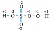 Redox Reactions Questions and Answers AP Inter 1st Year Chemistry Chapter 7-51