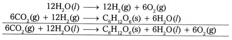 Redox Reactions Questions and Answers AP Inter 1st Year Chemistry Chapter 7-54