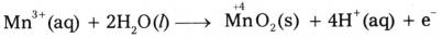Redox Reactions Questions and Answers AP Inter 1st Year Chemistry Chapter 7-76