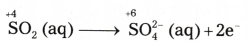 Redox Reactions Questions and Answers AP Inter 1st Year Chemistry Chapter 7-79