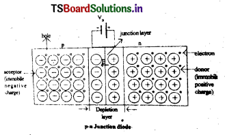 Semiconductor Devices Questions and Answers AP Inter 2nd Year Physics Chapter 14 11