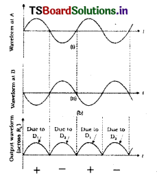 Semiconductor Devices Questions and Answers AP Inter 2nd Year Physics Chapter 14 16