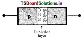 Semiconductor Devices Questions and Answers AP Inter 2nd Year Physics Chapter 14 17