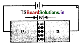 Semiconductor Devices Questions and Answers AP Inter 2nd Year Physics Chapter 14 19