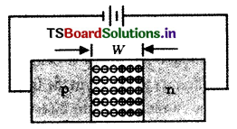 Semiconductor Devices Questions and Answers AP Inter 2nd Year Physics Chapter 14 20