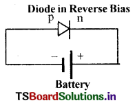 Semiconductor Devices Questions and Answers AP Inter 2nd Year Physics Chapter 14 8
