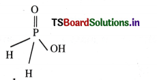 Some Basic Concepts of Chemistry Questions and Answers AP Inter 1st Year Chemistry Chapter 1 1